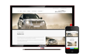 AutoWebsite Business 'Matador'